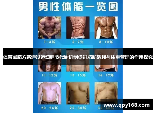 体育减脂方案通过运动调节代谢机制促进脂肪消耗与体重管理的作用探究