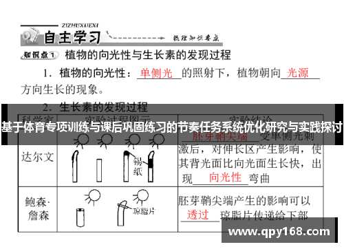基于体育专项训练与课后巩固练习的节奏任务系统优化研究与实践探讨
